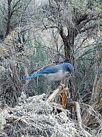 Grand Staircase - Escalante (36).JPG